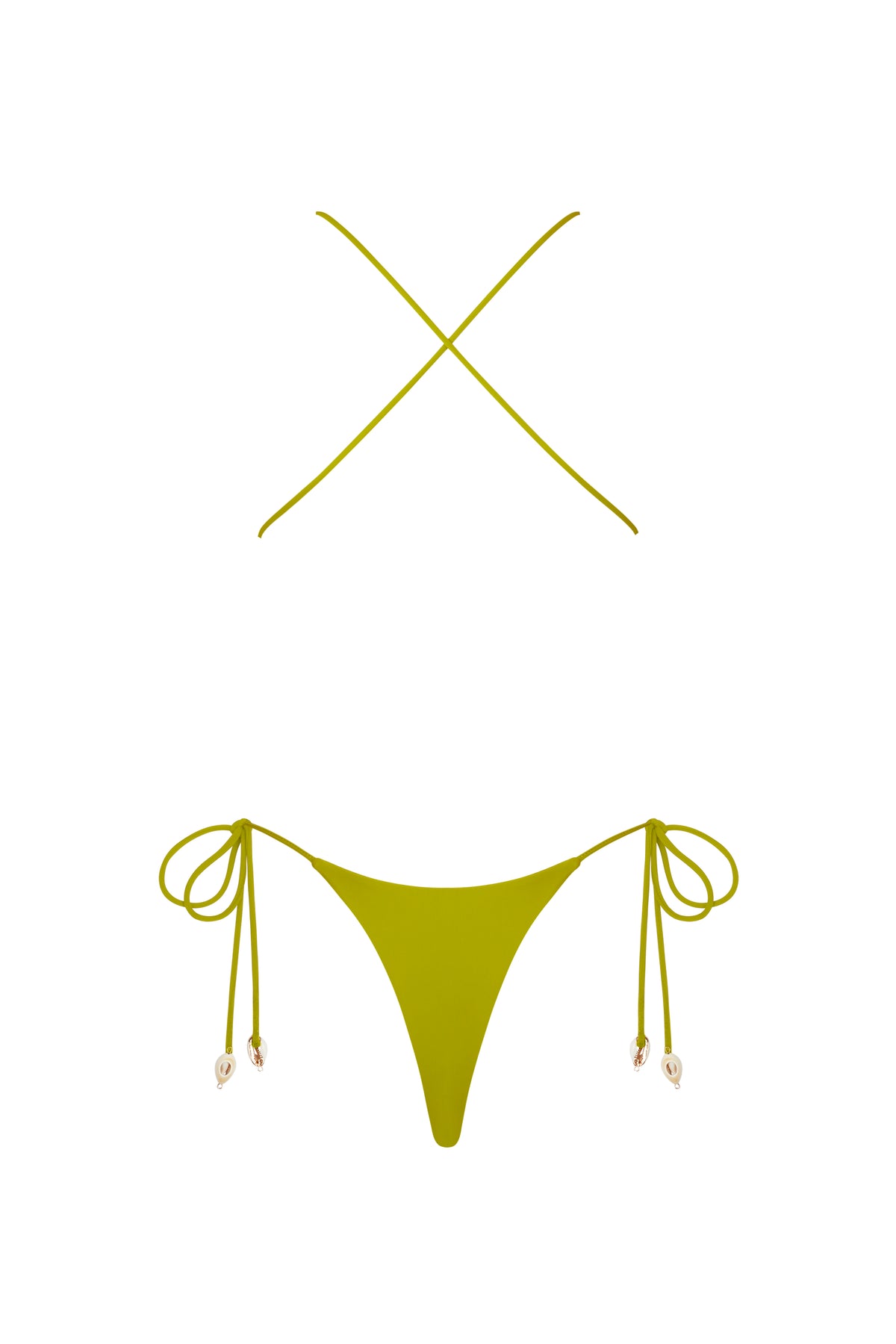 Aryn - Fern